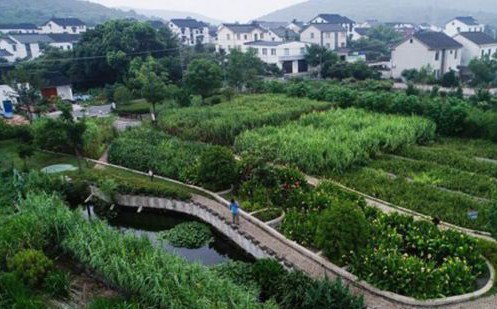 常見污水治理方法有哪些？